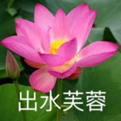 楚汉棋缘手机版(暂未上线)v1.46 安卓版